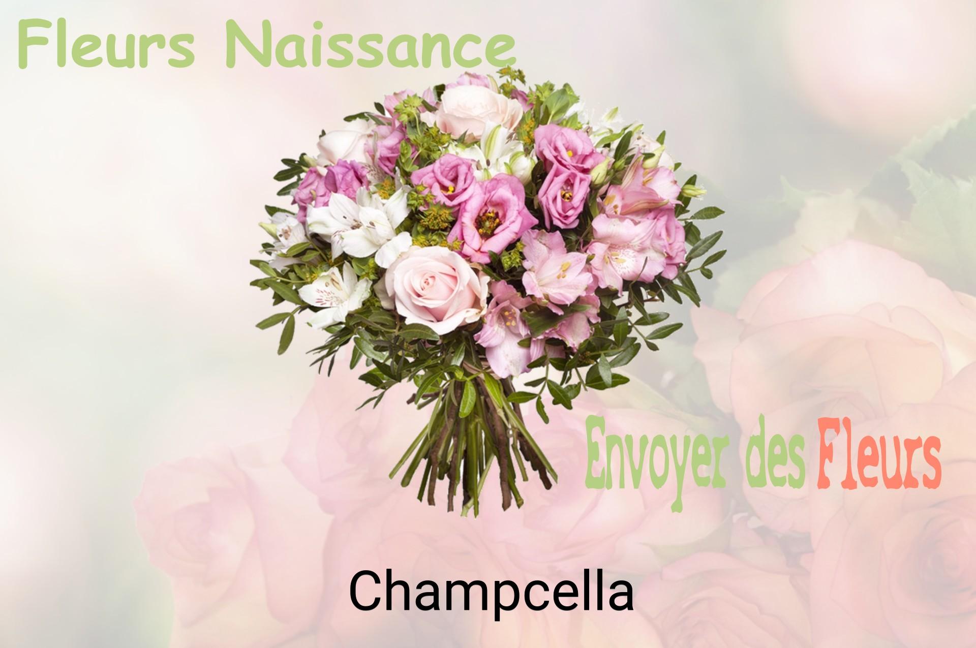 Bouquet de fleurs de naissance livré à Champcella